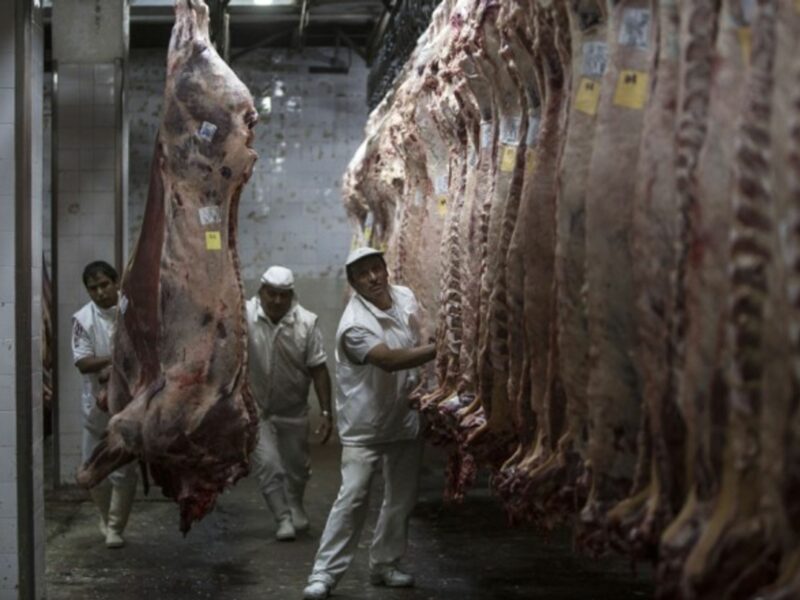 Meat handing in an Argentinian slaughter house