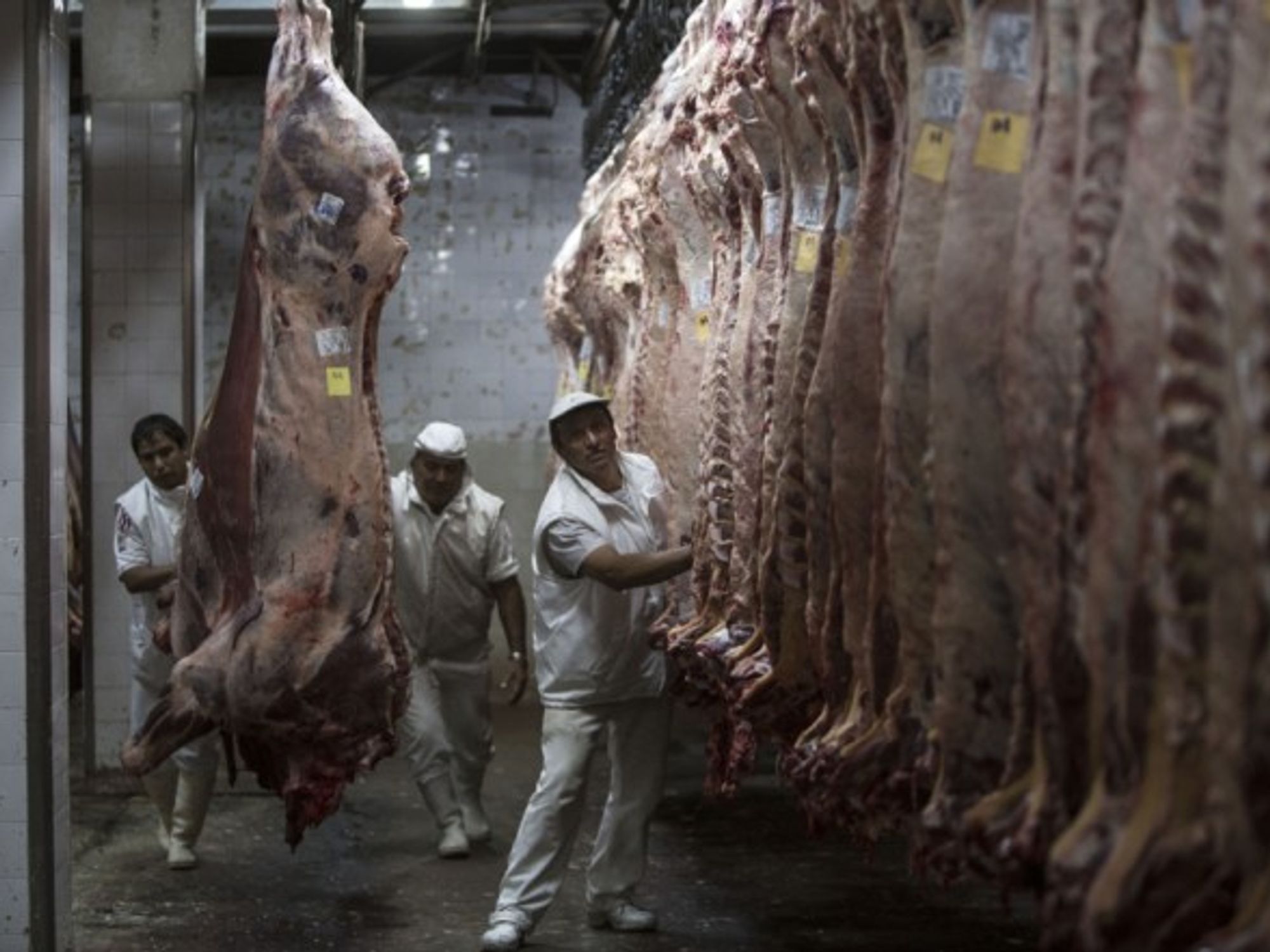 Meat handing in an Argentinian slaughter house