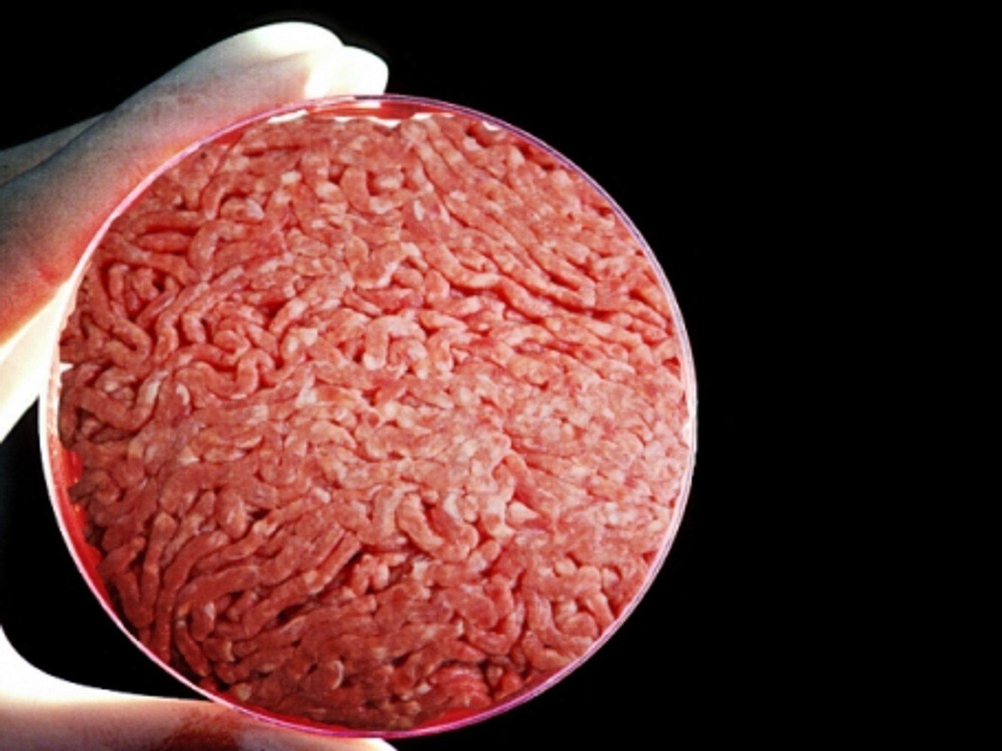 Meet the new meat