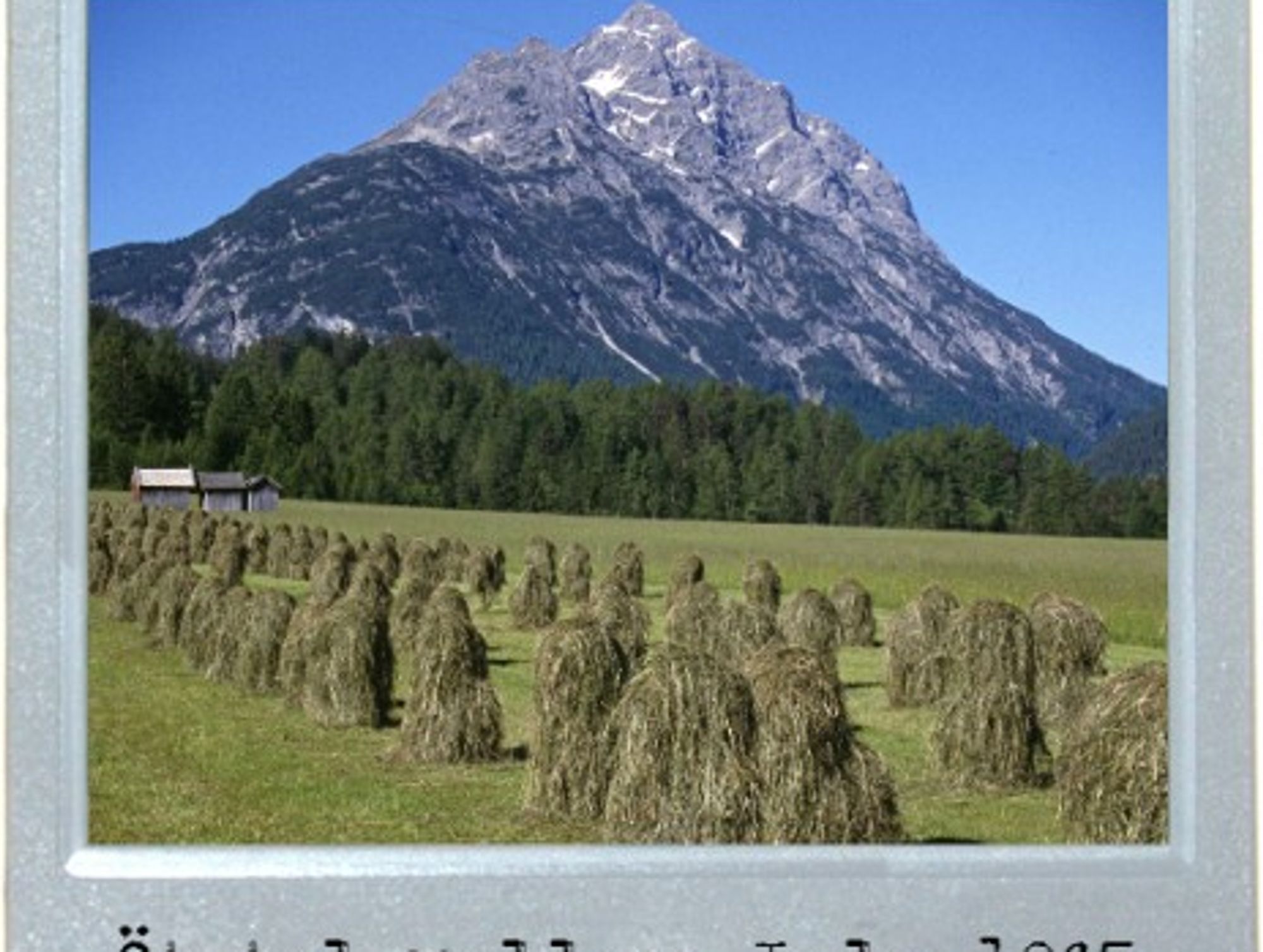 Memories In The Haystacks