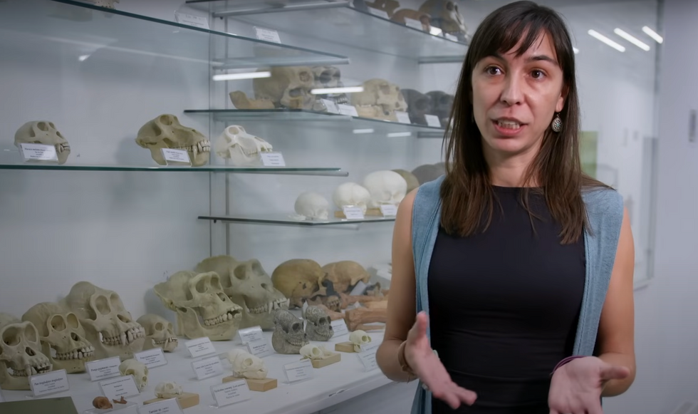 Mercedes Conde Valverde, co-director of the research and professor at the University of Alcala.