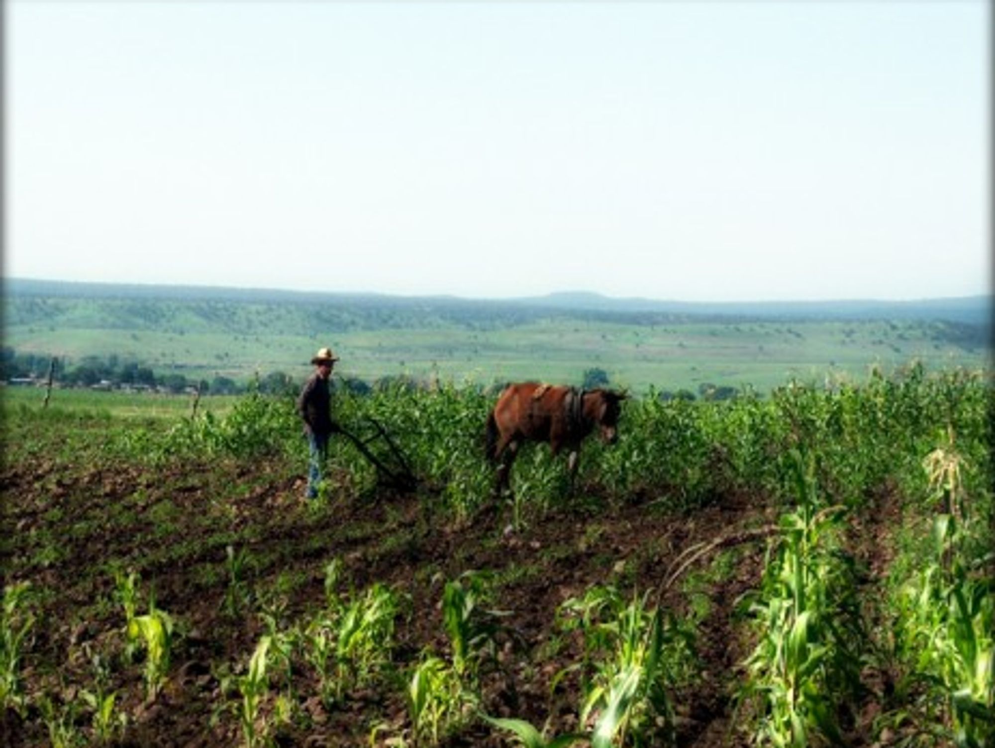 Mexican Farmers Turn Into Vigilantes To Fight Narco Traffickers