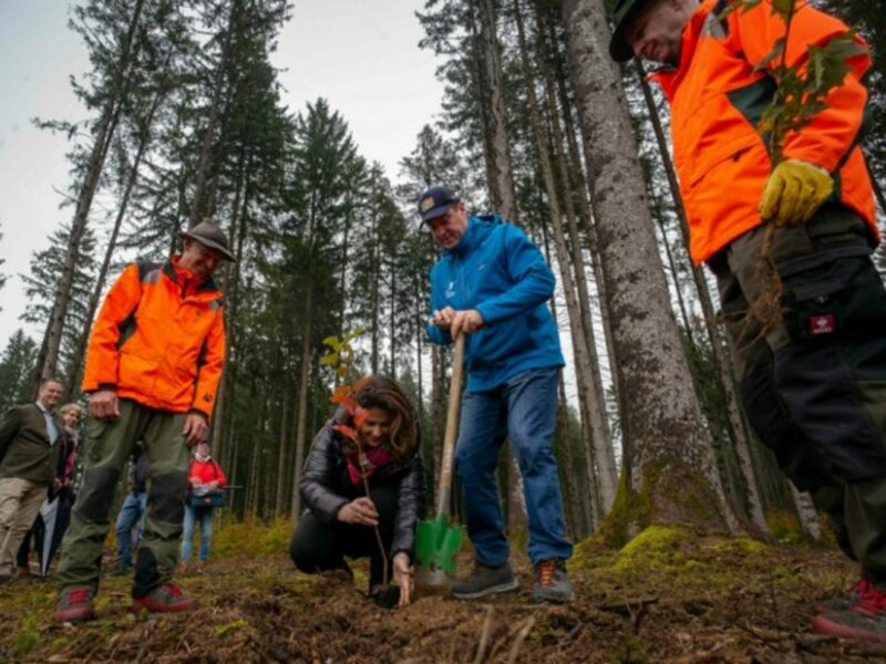 Minister of Bavaria planting trees in Germany