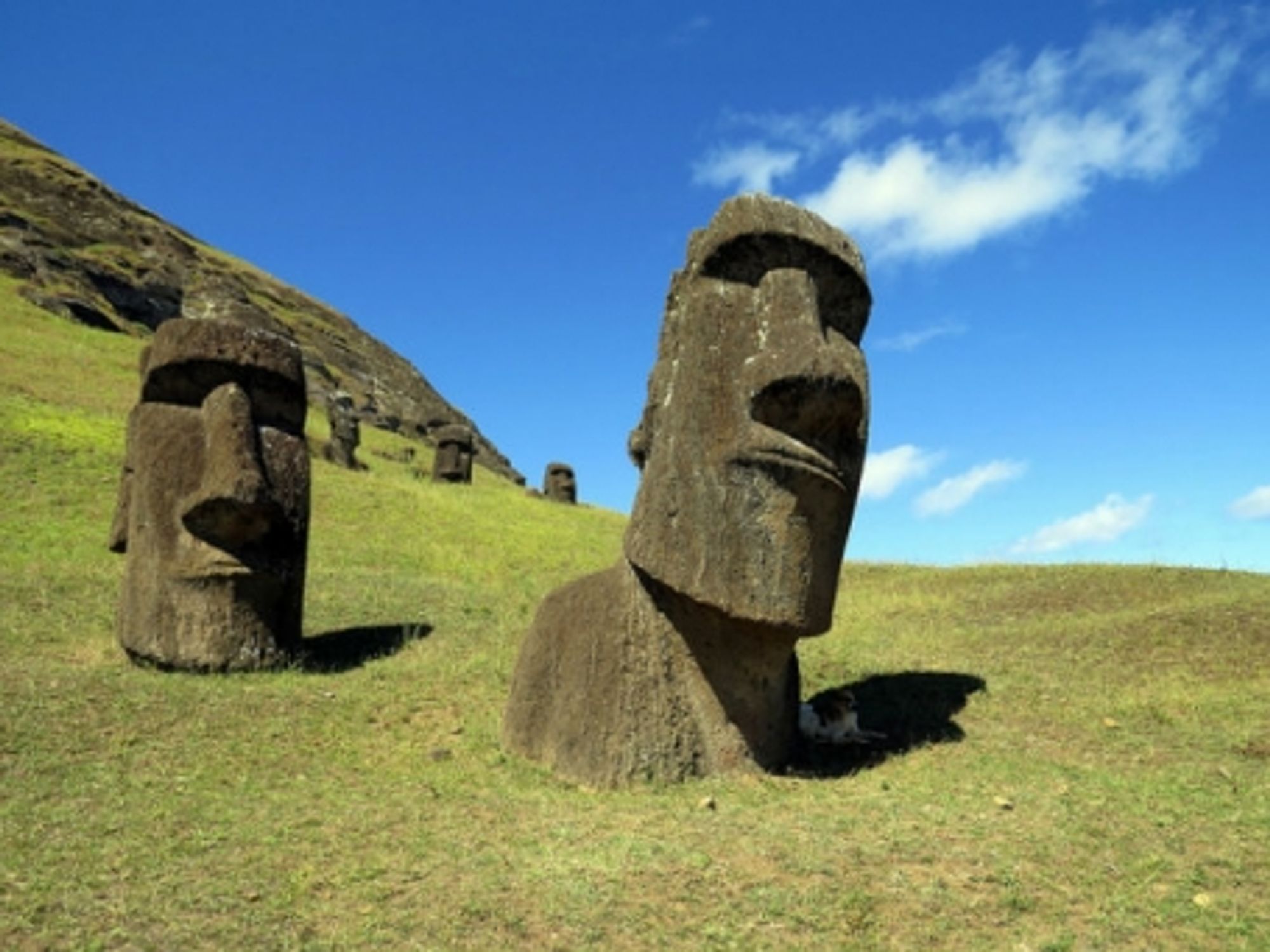 Moai statues, Easter Island