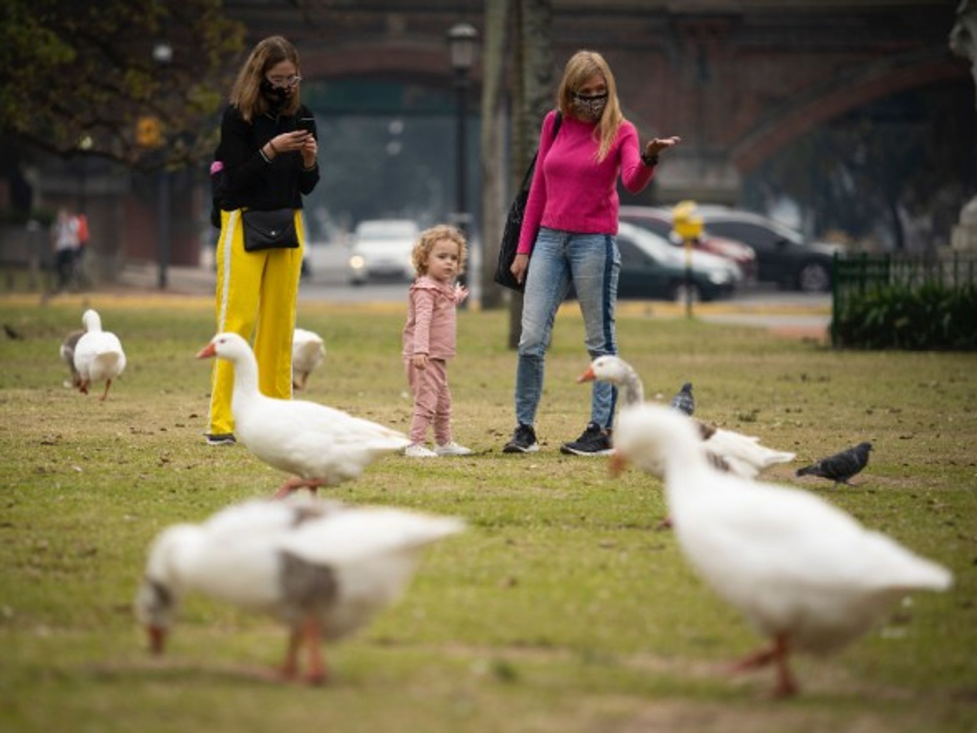 Months of forced confinement have highlighted the crucial need for leisure spaces and parks
