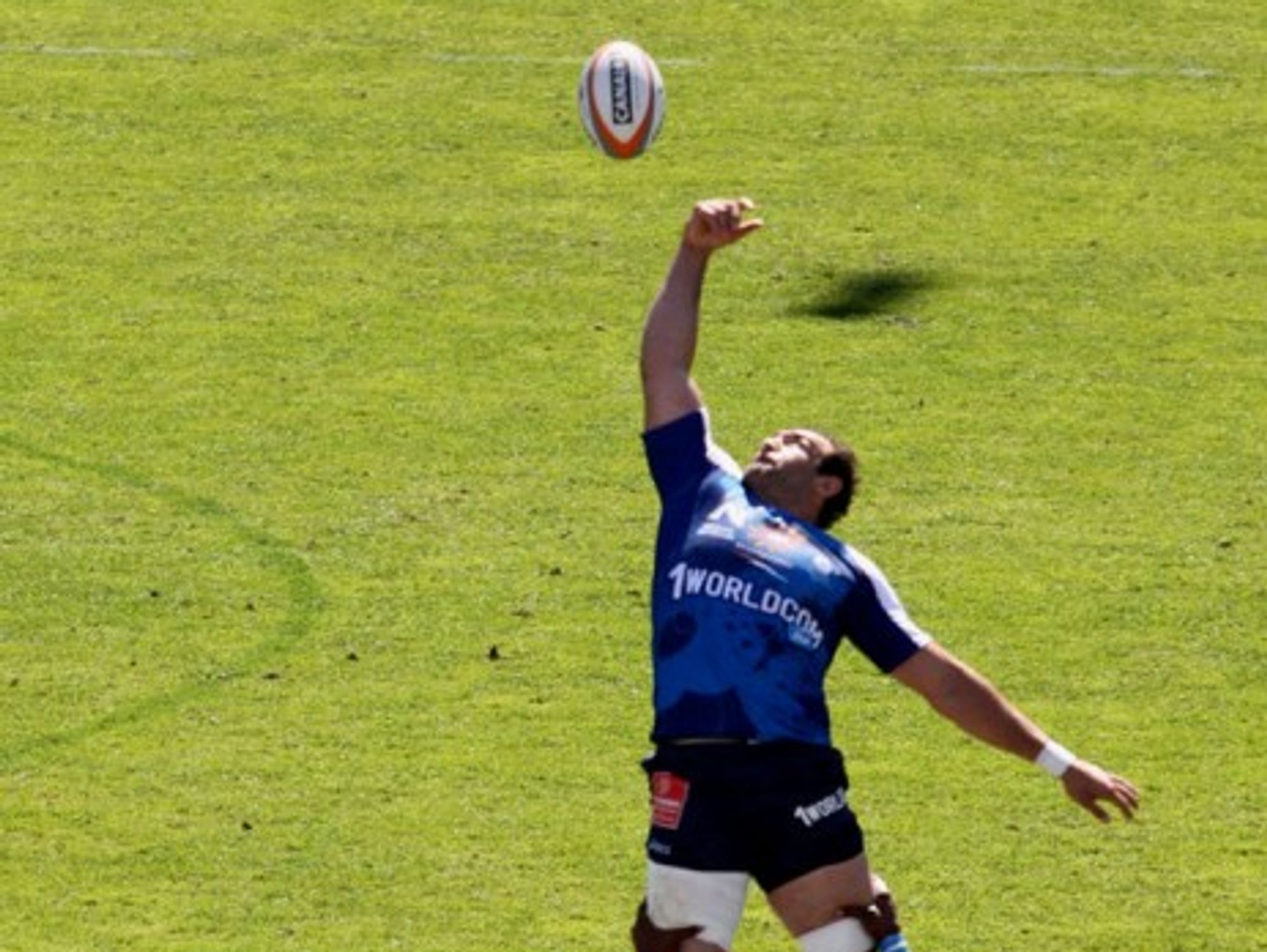 Montpellier at the height of French rugby, but also soccer, handball, water-polo, etc. (Florent PUISSEGUR)