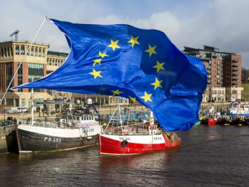 More than half of the income of Flemish fishermen comes from catches in British waters