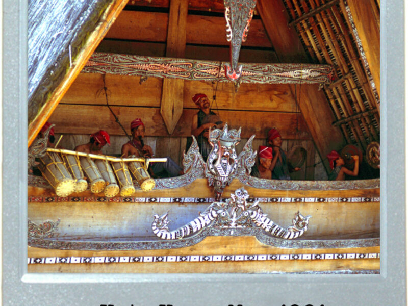 Music Soothes The Sulawesi