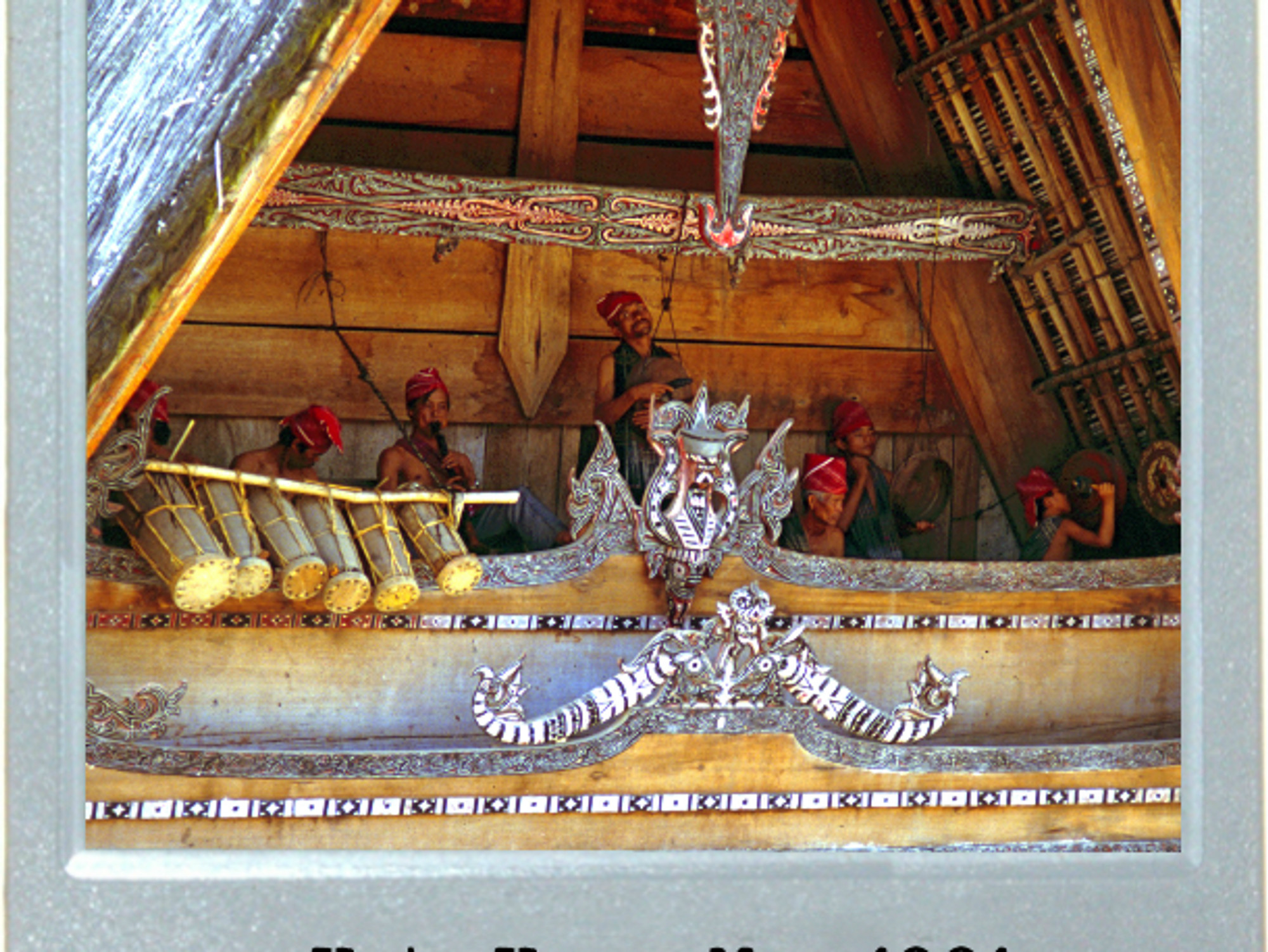 Music Soothes The Sulawesi