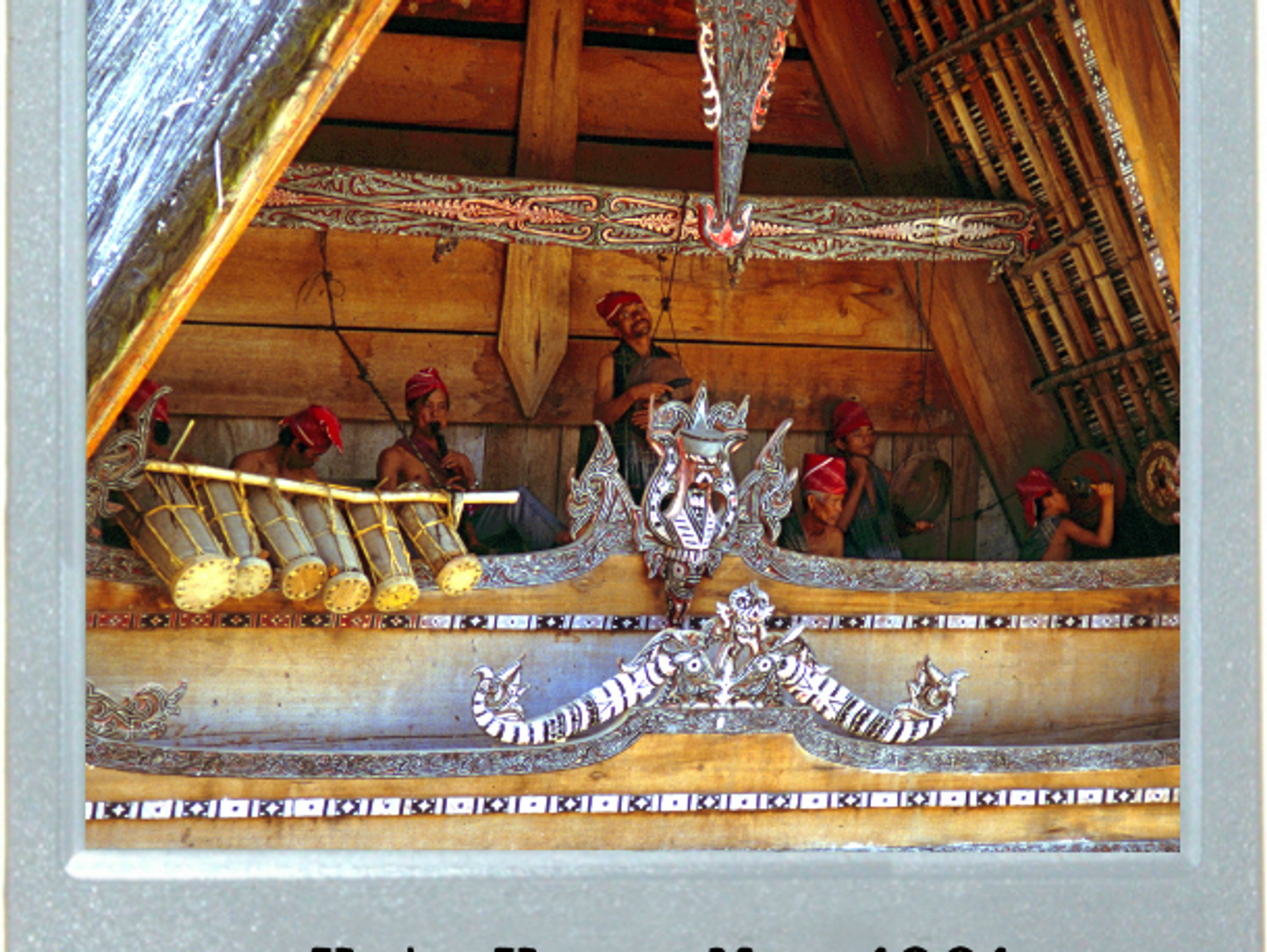 Music Soothes The Sulawesi