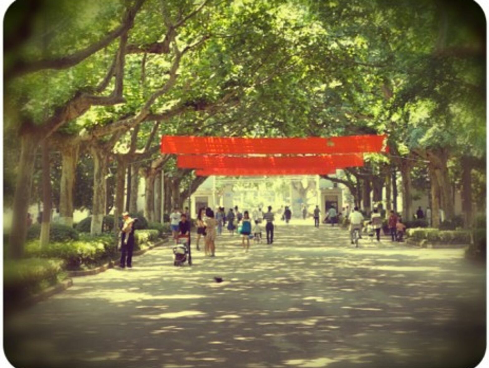 Nanjing University's campus