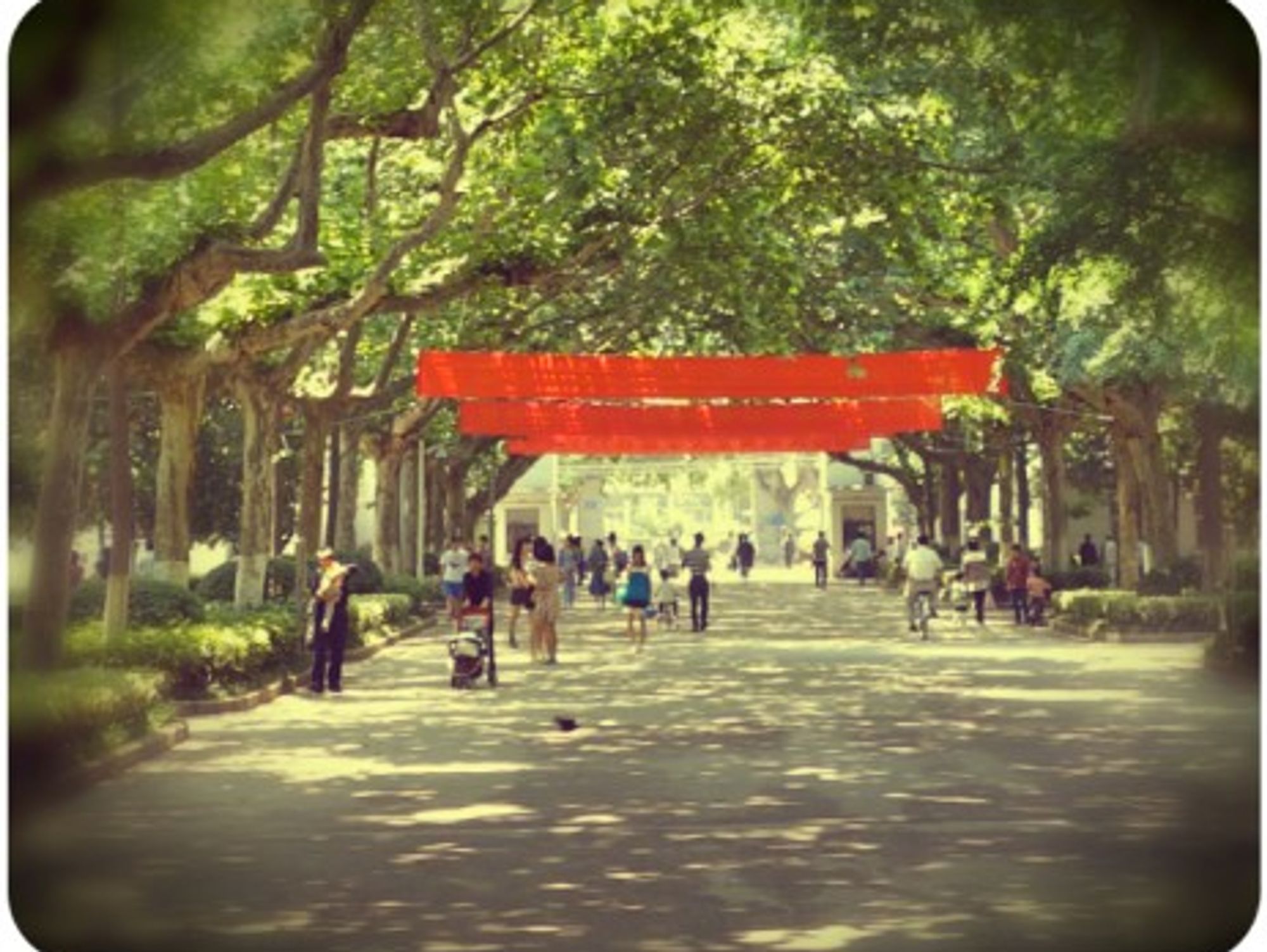Nanjing University's campus