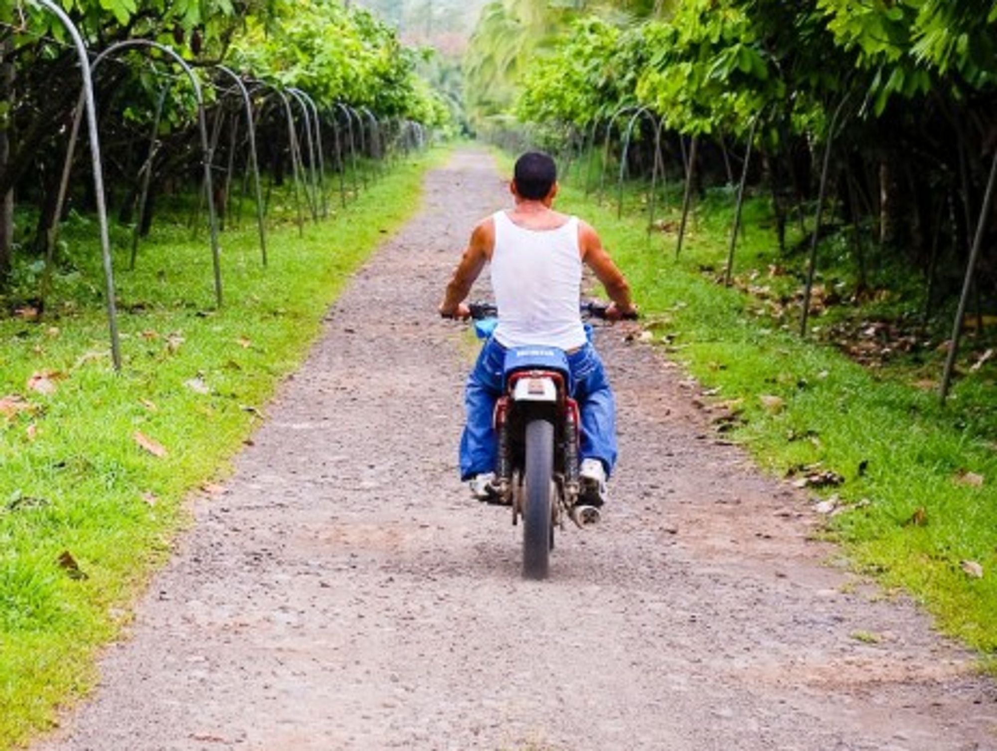 Near Puerto Viejo, Costa Rica, the Country Brand Index's highest ranked Latin American country