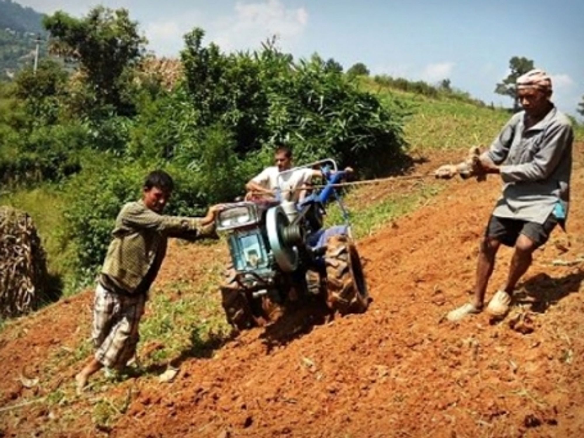 Nepalese farmers plowing their field