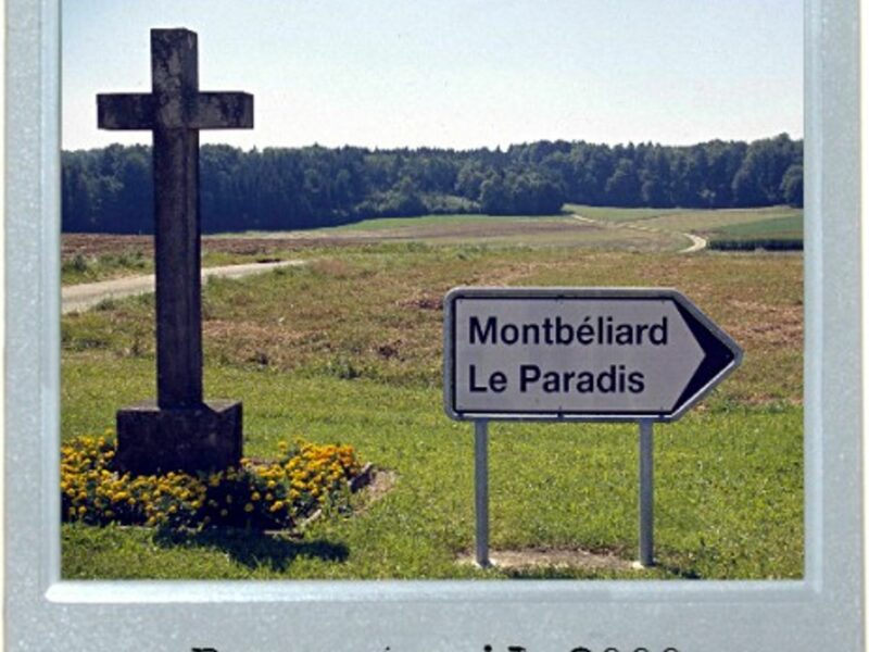 Next Turn, Paradise