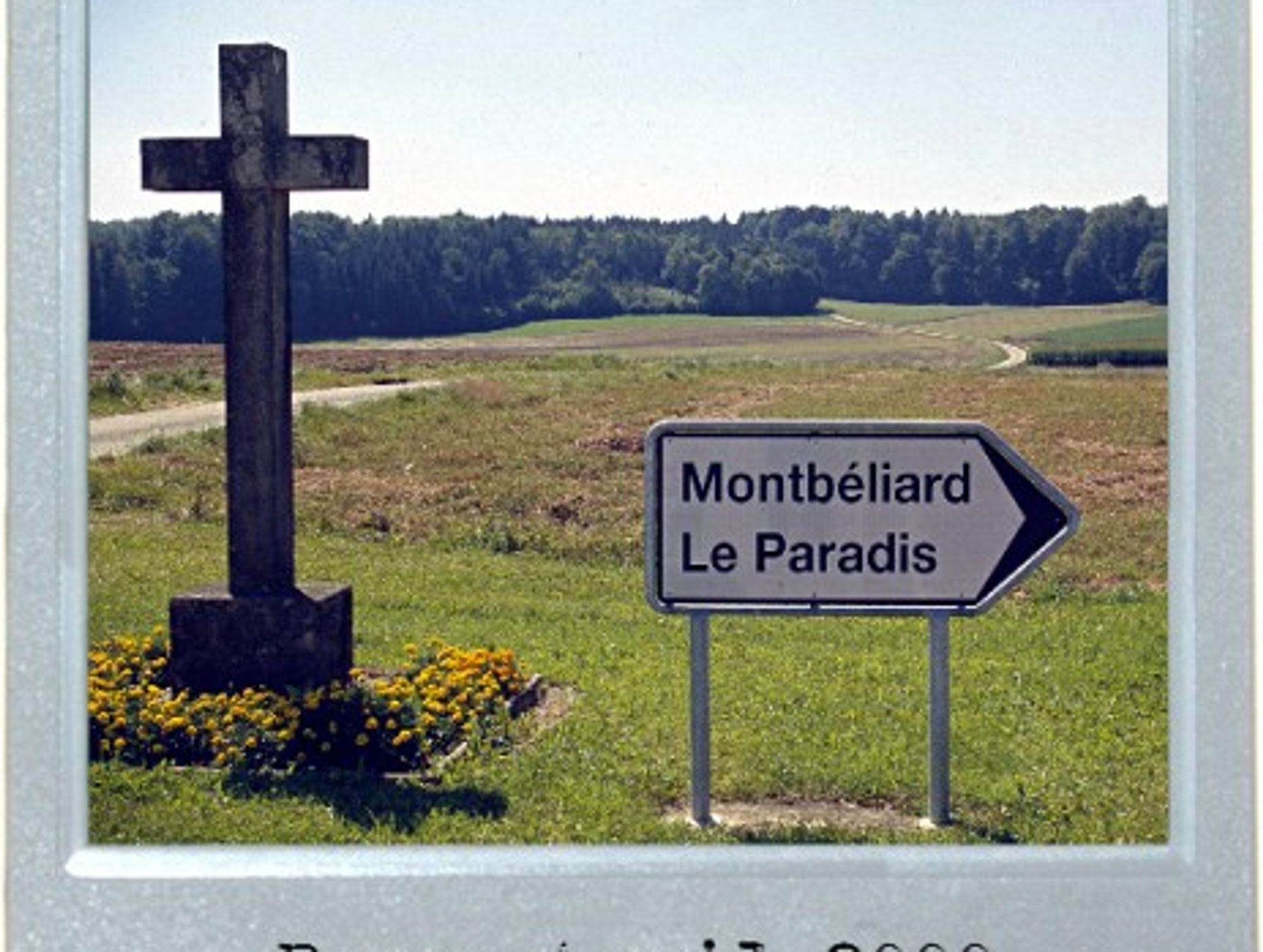 Next Turn, Paradise