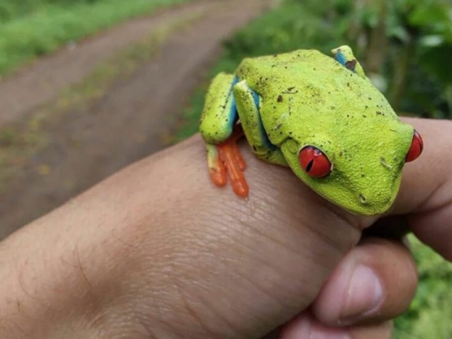 Nicaraguan Indigenous: Biosphere Reserve Is Our 'Lungs'