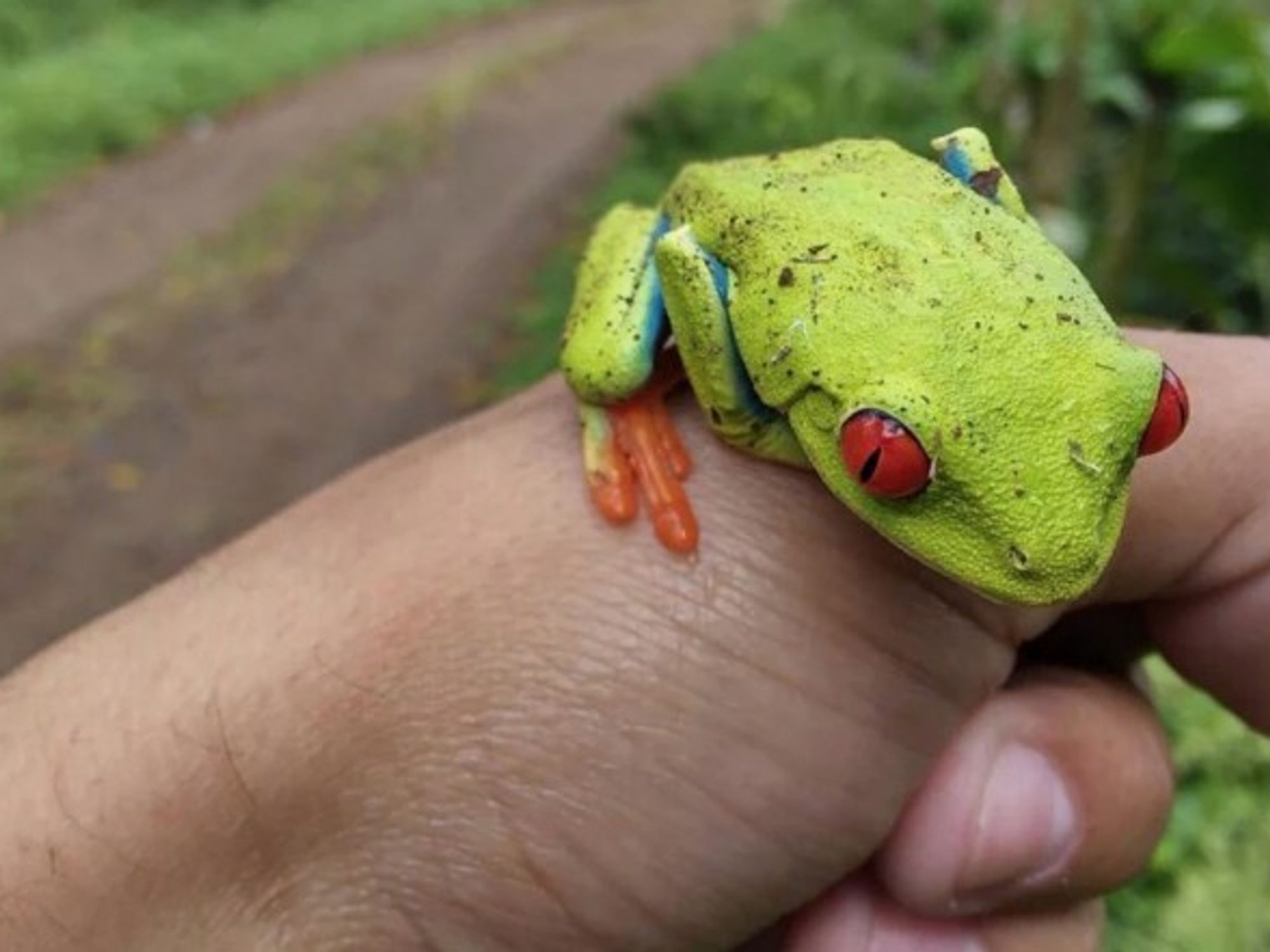 Nicaraguan Indigenous: Biosphere Reserve Is Our 'Lungs'
