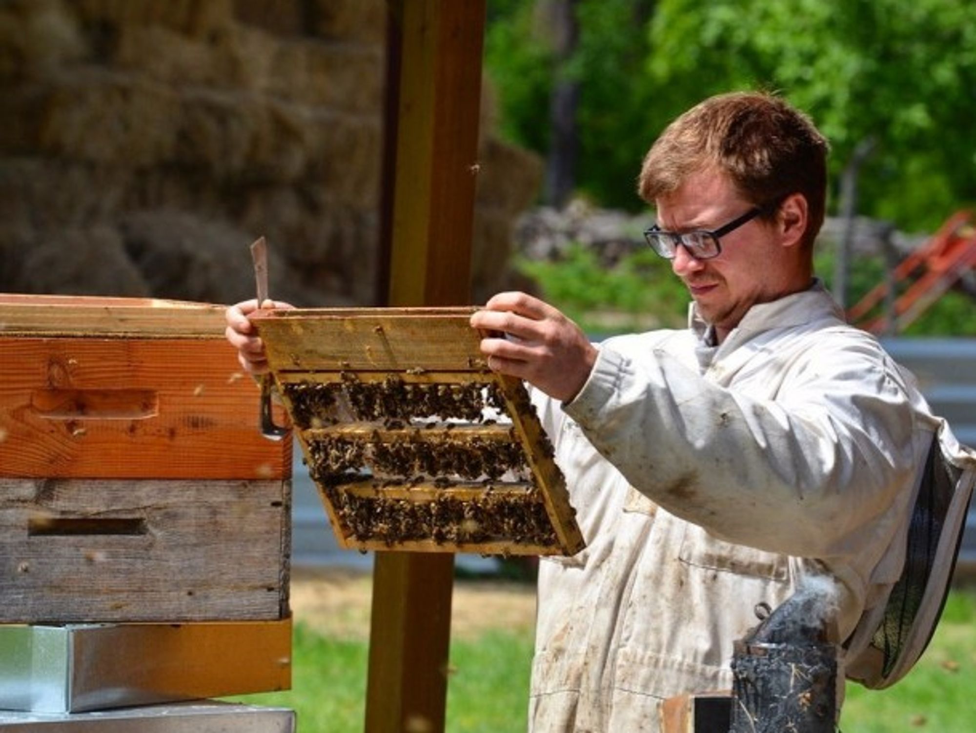 Nils Aucante has returned to his family's farm