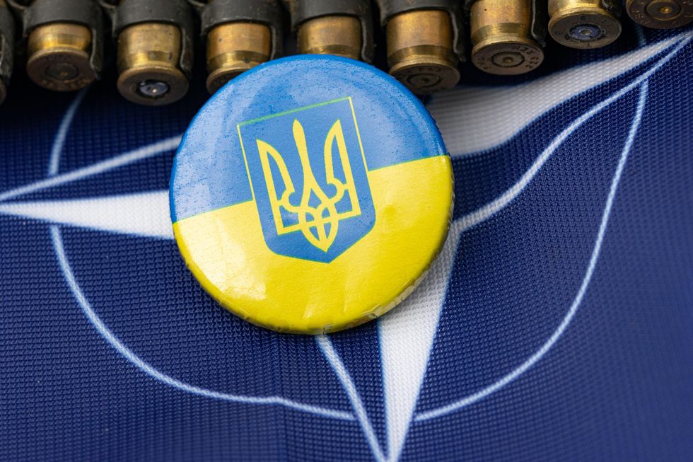 Nine Eastern European Countries Support Ukraine’s NATO Application