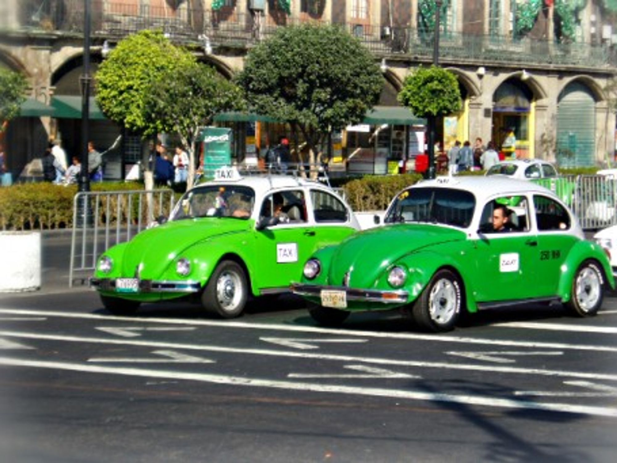 Not so green, Mexico