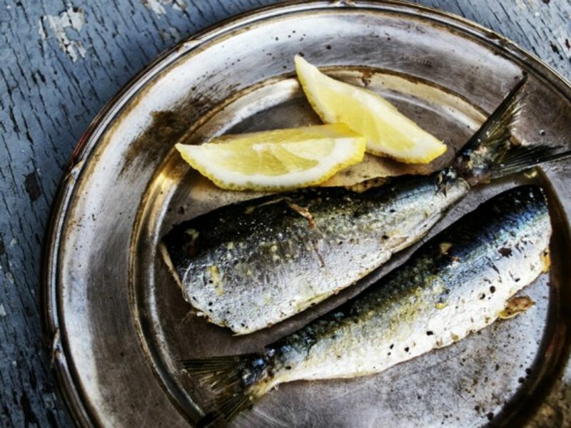 Nothing fishy here
