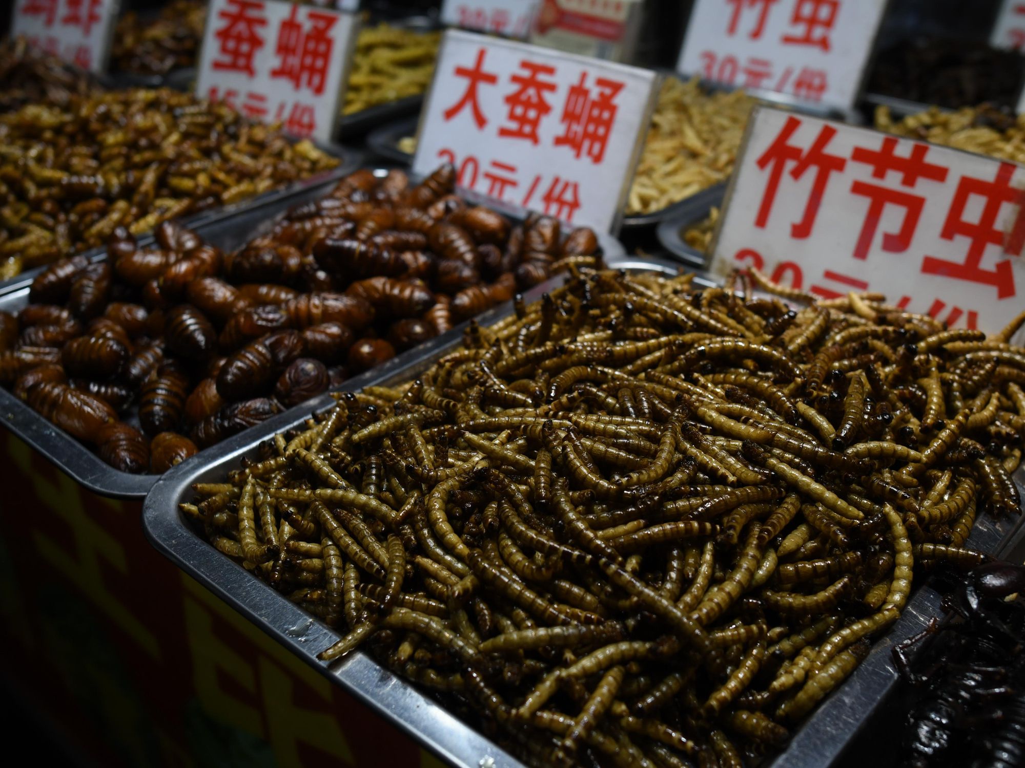 nsects sold at Zhongshan Road Street Food Night Market in Nanning, China