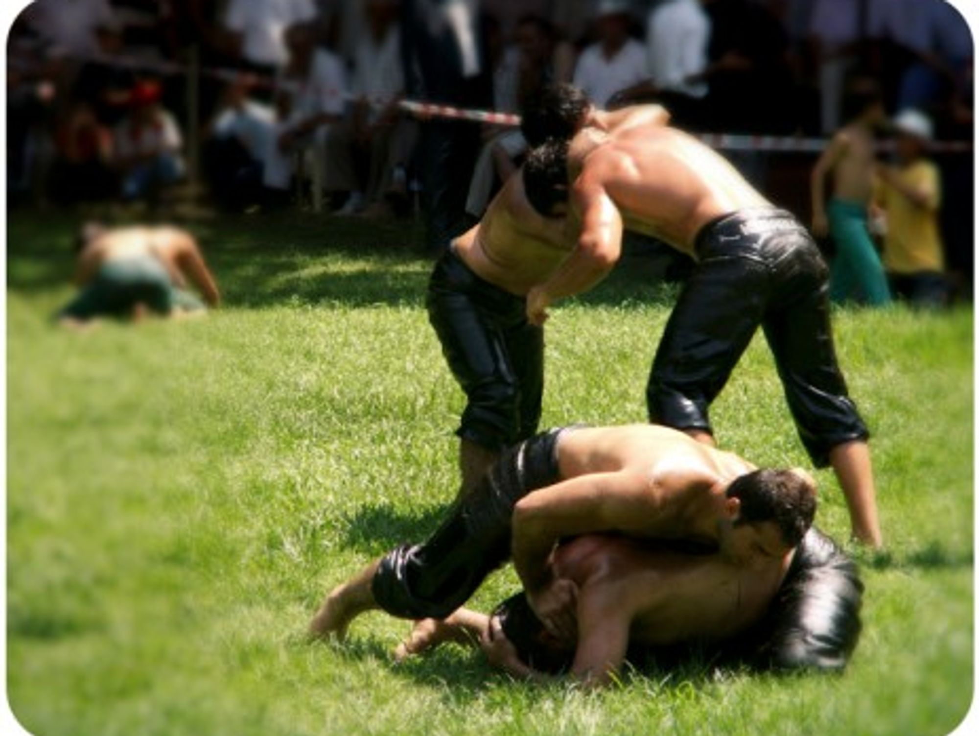 Oil wrestling tournament in Istanbul