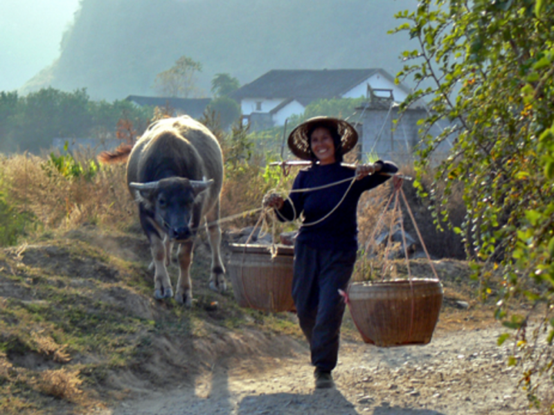 Old traditions die hard in rural China.