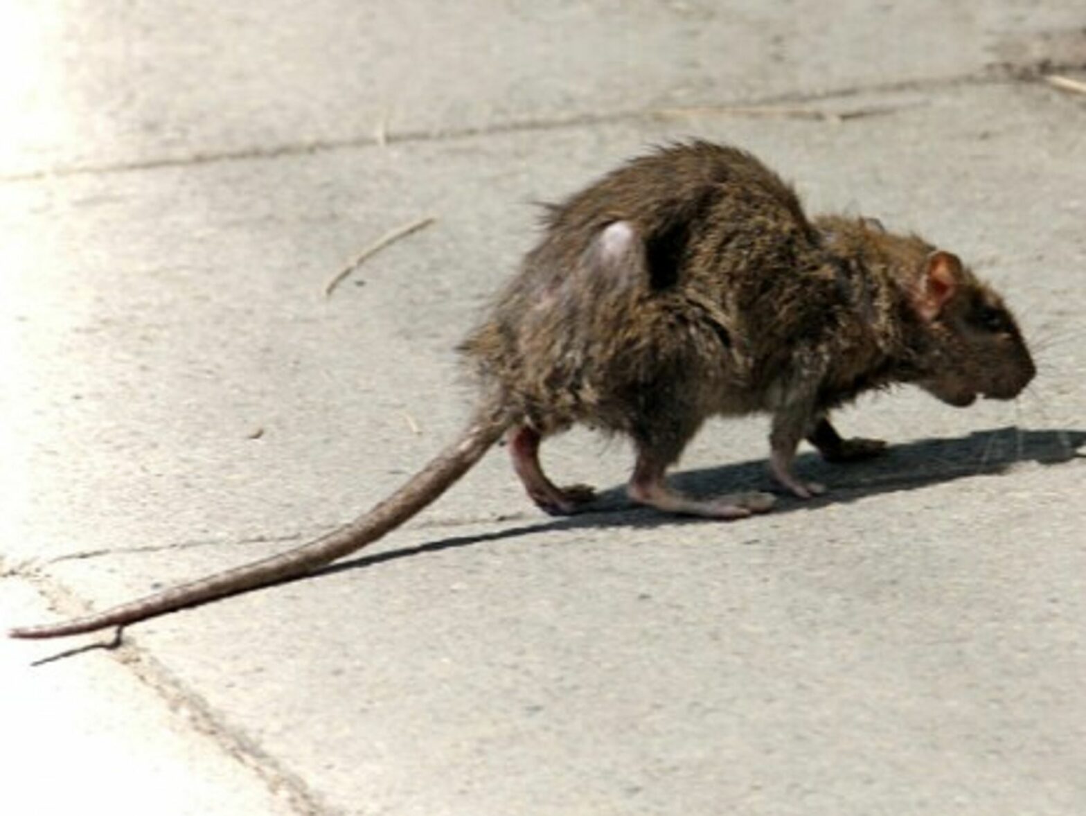 On patrol
