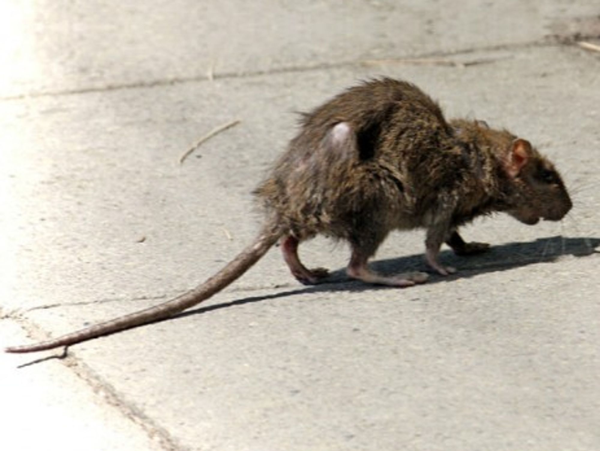 On patrol