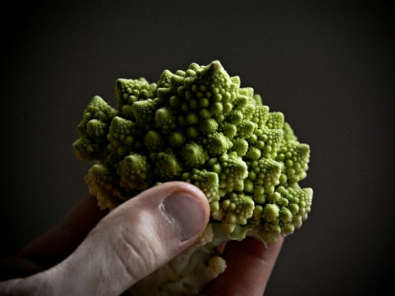 One available type of cauliflower is the green cauliflower, called 'Romanesco.'
