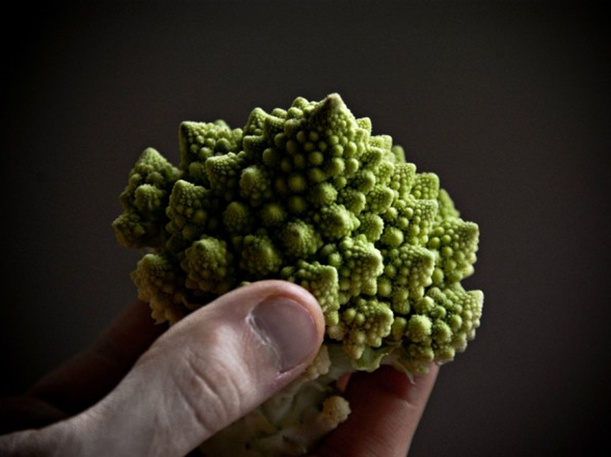 One available type of cauliflower is the green cauliflower, called 'Romanesco.'