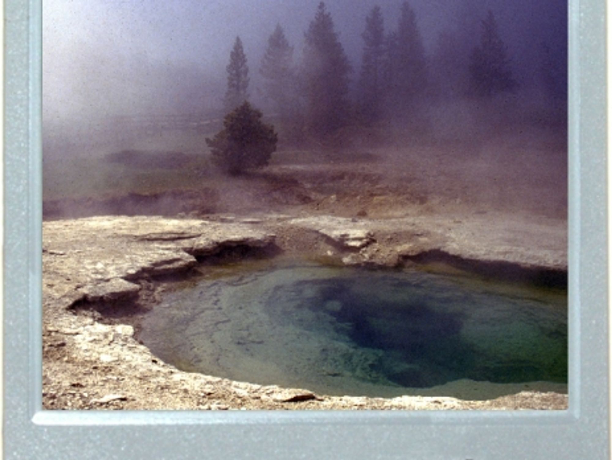 Oops In Yellowstone