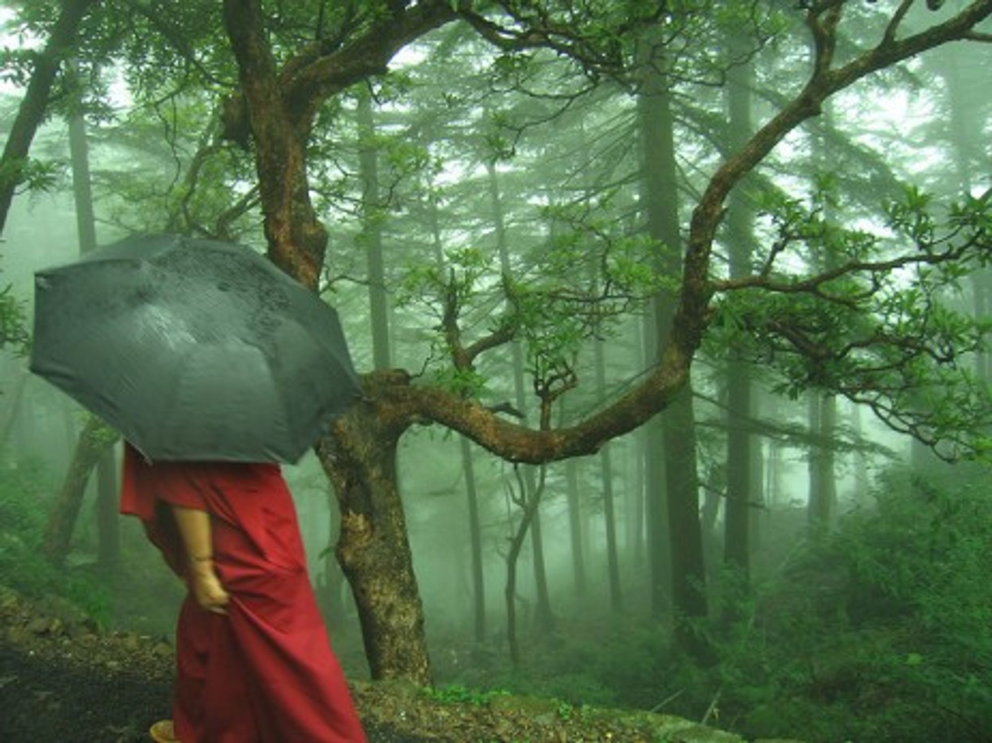 Orphans Of The Dalai Lama