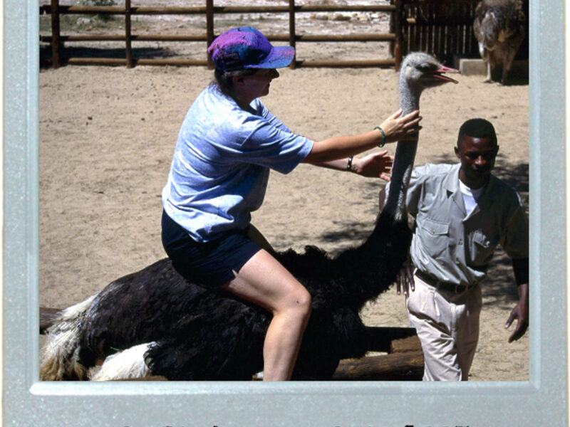 Ostrich-And-Egg Arithmetic