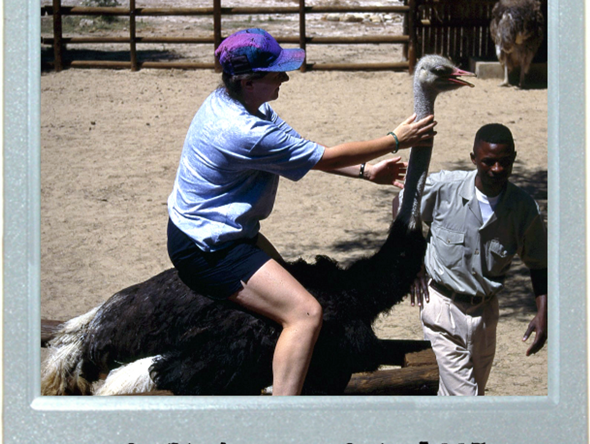 Ostrich-And-Egg Arithmetic