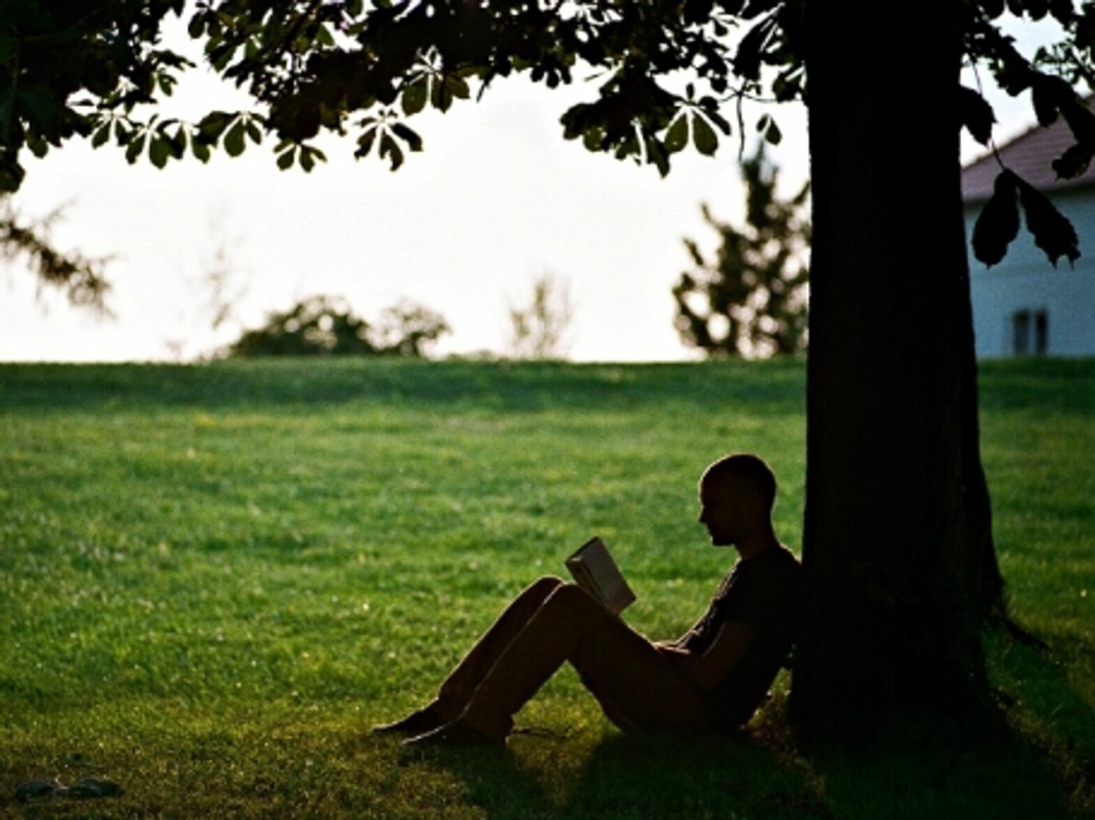Our brain never stops creating stories and absorbing other people's