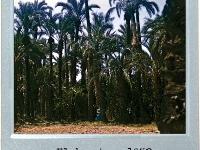 Palm Color