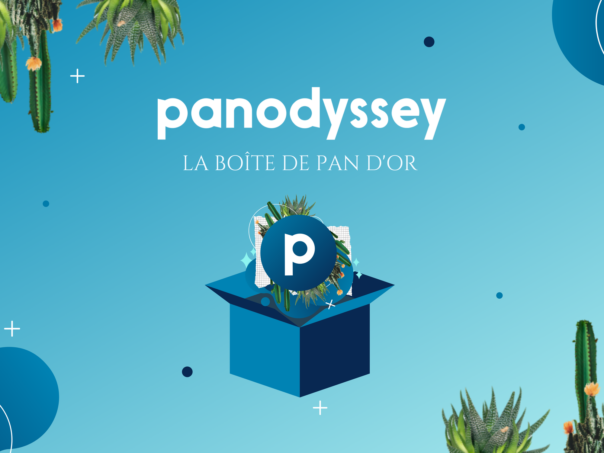 Panodyssey, the social media dedicated to creative writing