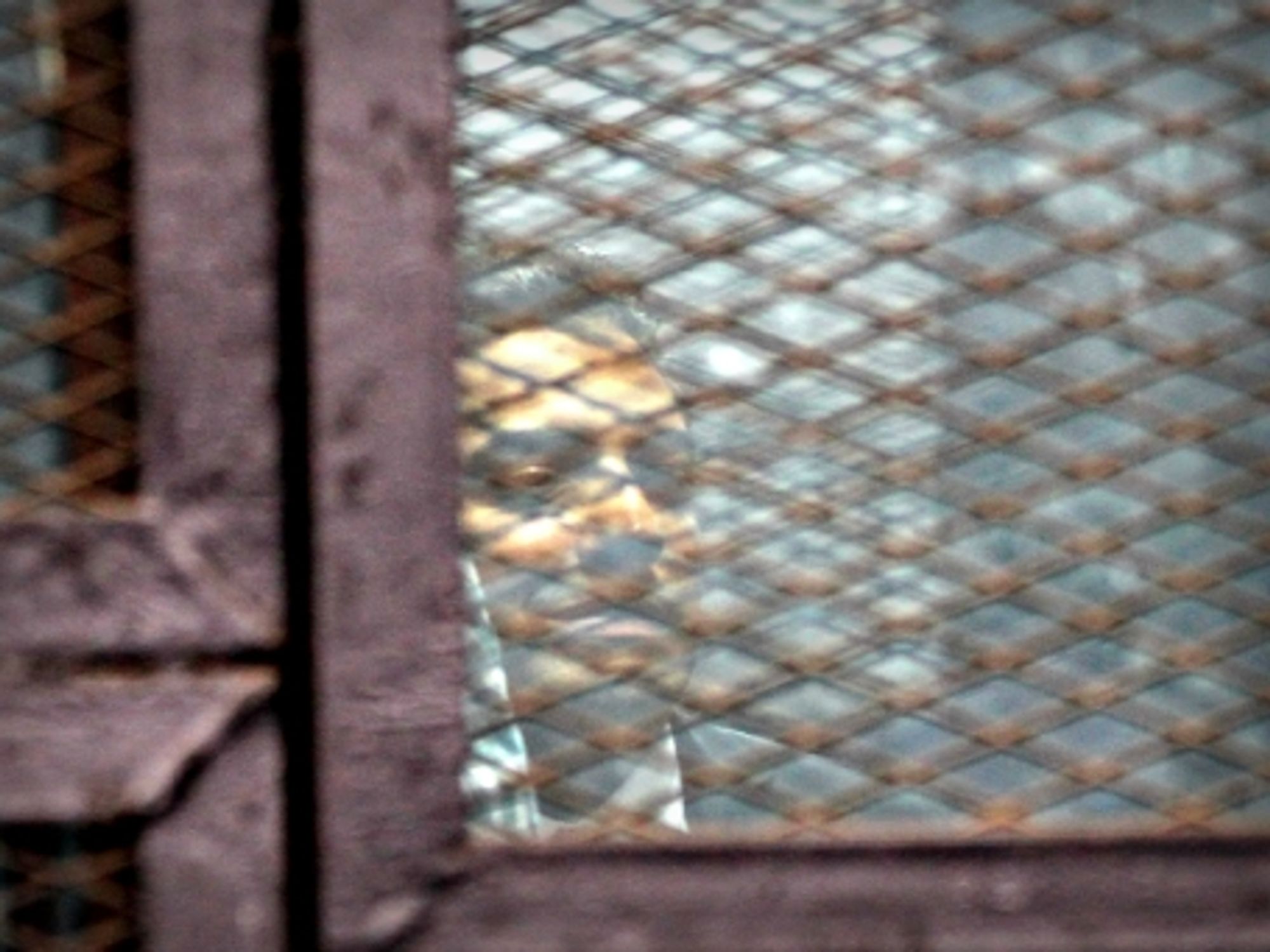 Pardoned Al Jazeera journalist Mohamed Fahmy in Cairo on Aug. 29