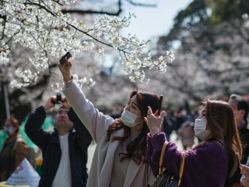 Passersby take pictures of cherry blossoms in a park in Tokyo, Japan, where the sakura season has begun.