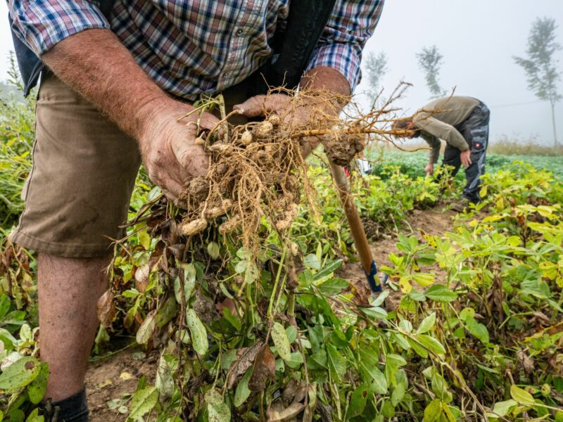 The Quest For More "Resilient Agriculture" To Withstand Climate Change