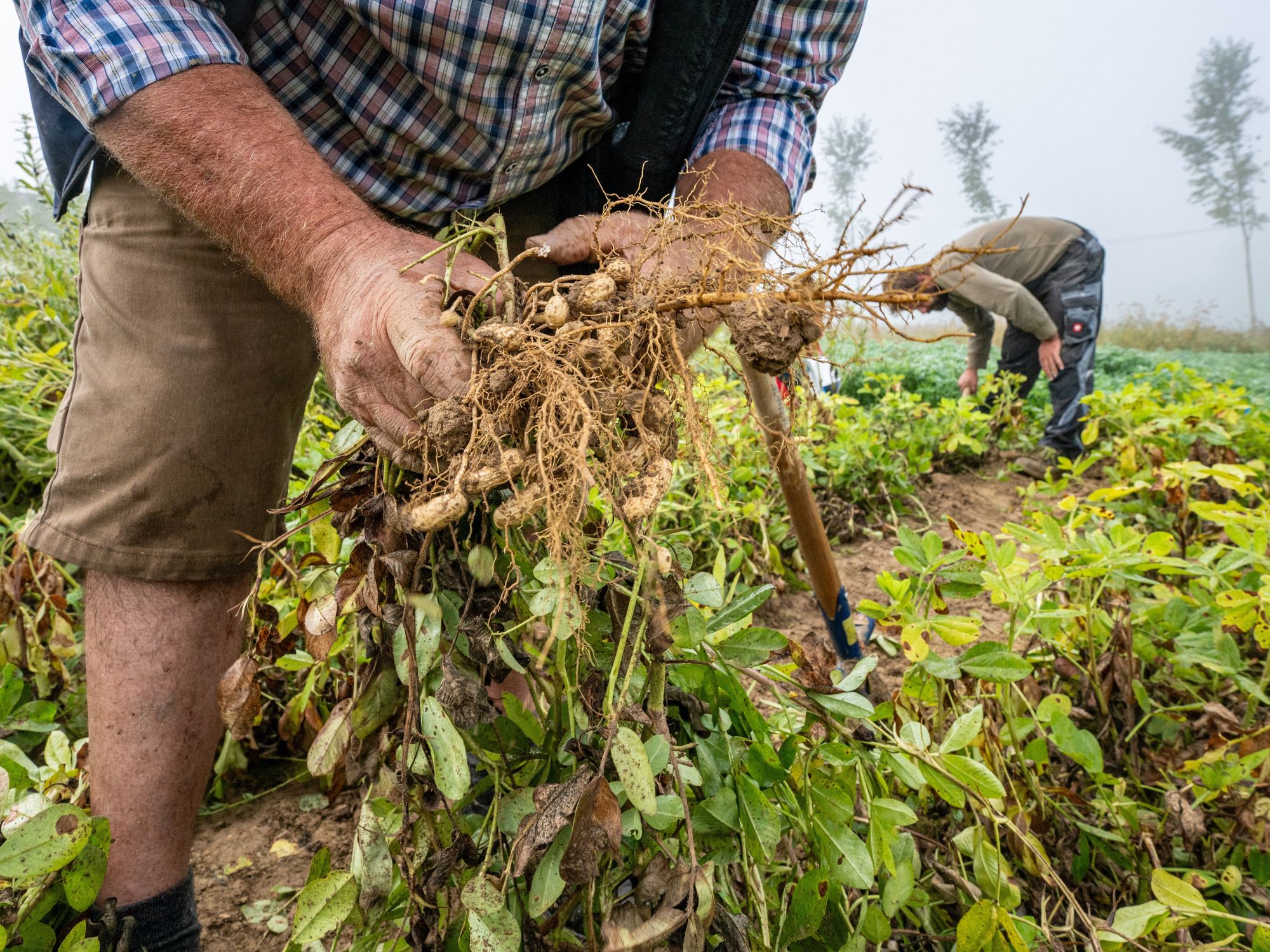 The Quest For More "Resilient Agriculture" To Withstand Climate Change