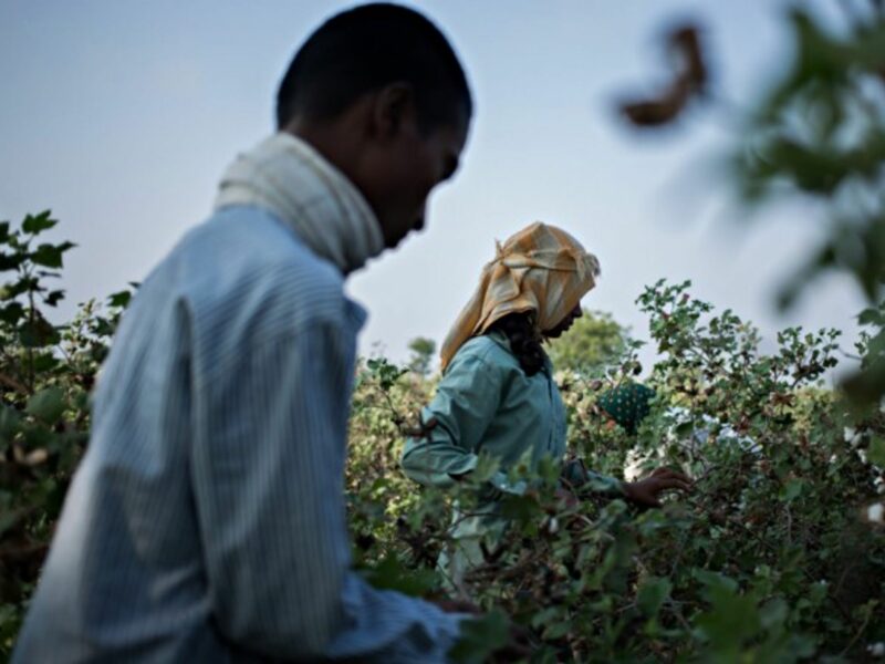 Pesticides are a common form of suicide for struggling farmers in India.