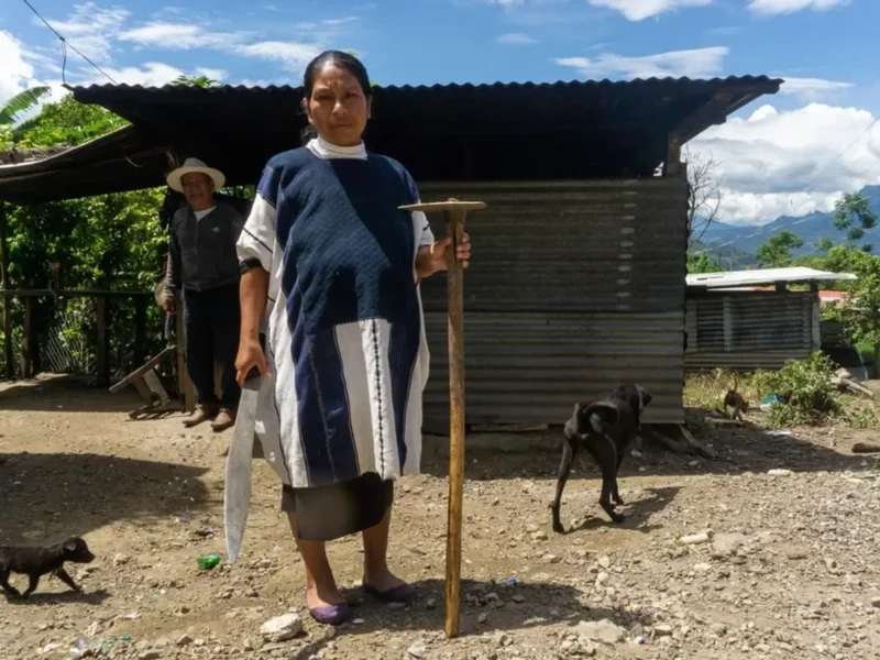 For Chiapas Indigenous, Justice Gets Lost Without Translation