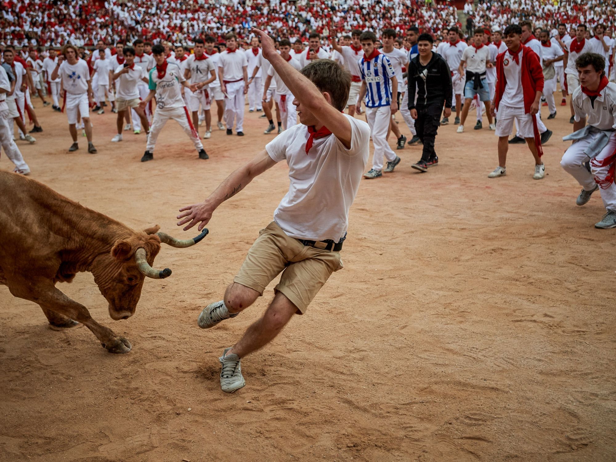 Photo of a bull charging a man during San Fermín festivities in Pamplona, Spain