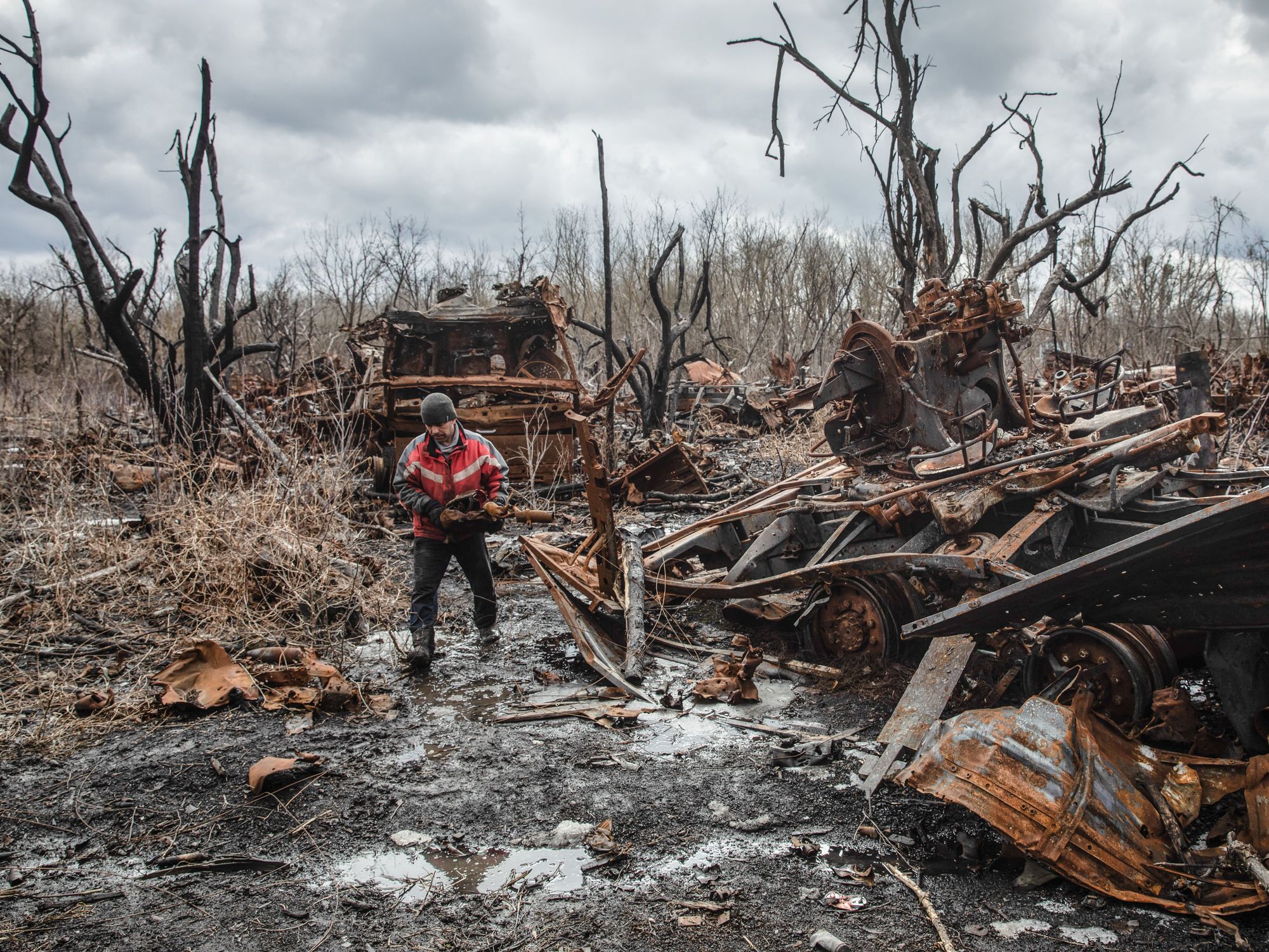 Photo of a burnt forest in Kharkiv