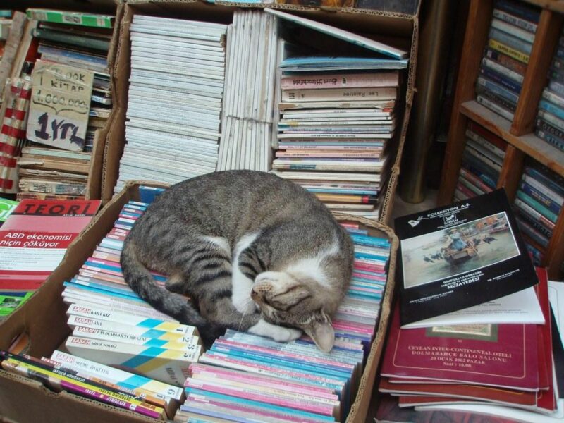 photo of a cat sleeping on boxes of books