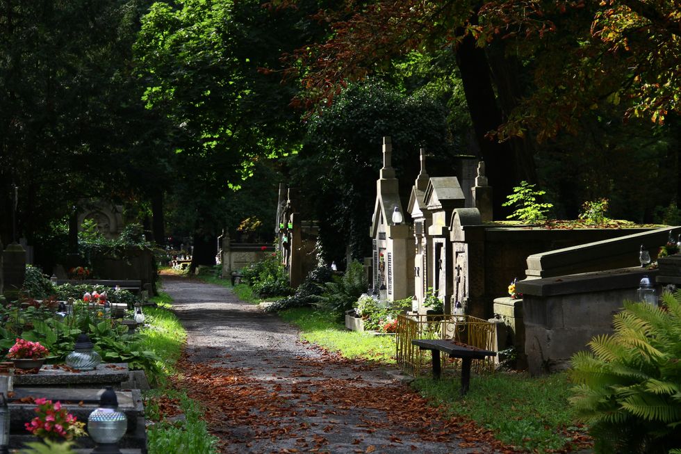 photo of A cemetery in the middle of a Polish forest